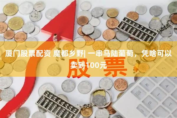 厦门股票配资 魔都乡野| 一串马陆葡萄，凭啥可以卖到100元