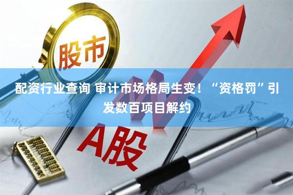 配资行业查询 审计市场格局生变！“资格罚”引发数百项目解约