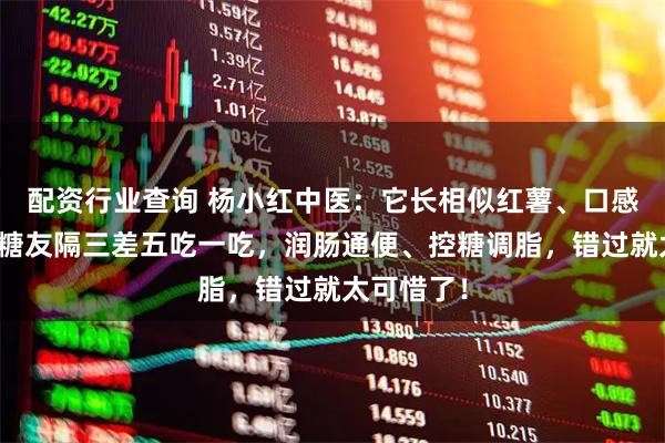 配资行业查询 杨小红中医：它长相似红薯、口感像脆瓜，糖友隔三差五吃一吃，润肠通便、控糖调脂，错过就太可惜了！