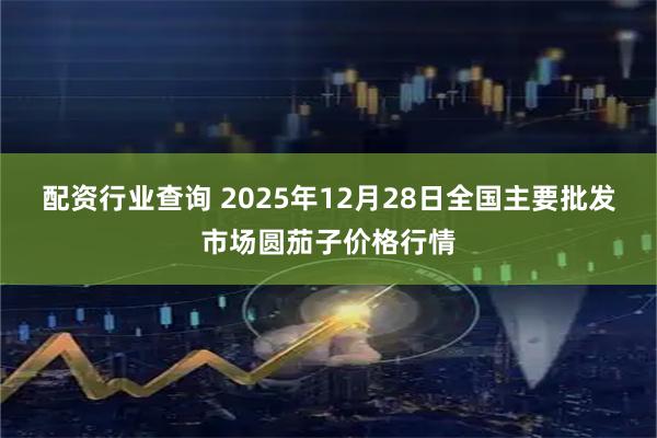 配资行业查询 2025年12月28日全国主要批发市场圆茄子价格行情